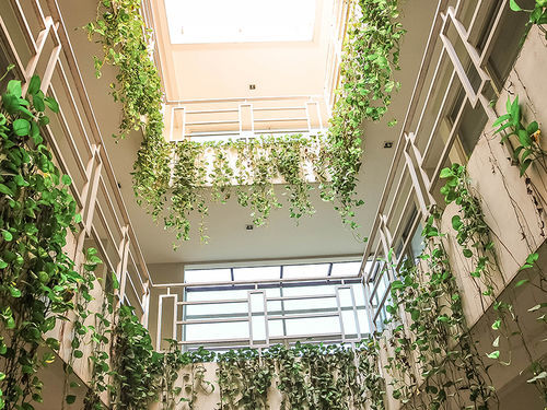 Legreen Suite Pejompongan Джакарта Экстерьер фото